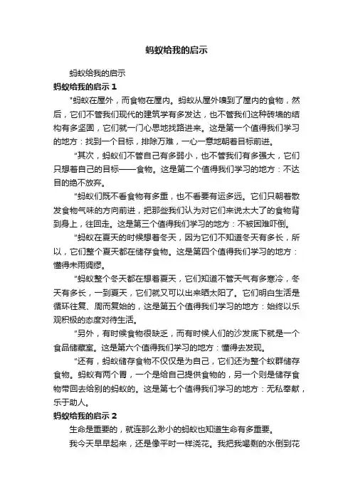 蚂蚁给我的启示