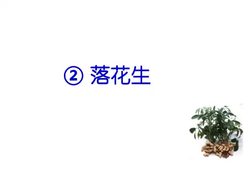 最新部编人教版语文五年级上册《2 落花生》名师公开课PPT课件