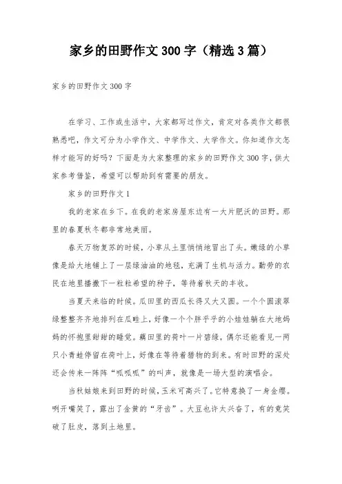 家乡的田野作文300字(精选3篇)