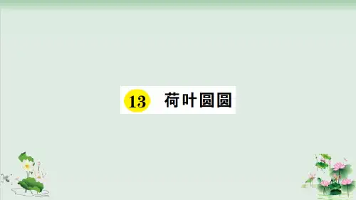 (部编版)小学语文一级下册《荷叶圆圆》PPT公开课课件