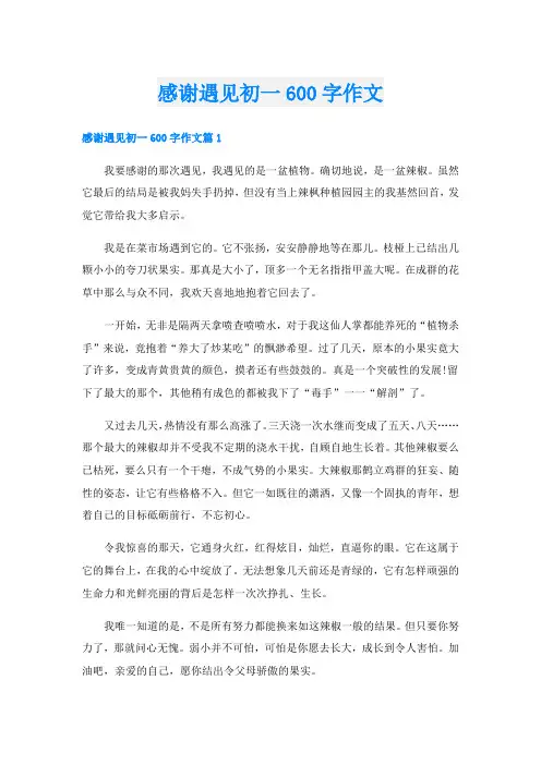 感谢遇见初一600字作文