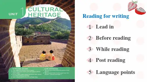 人教版2019高中英语必修第二册 unit1 Reading for writing