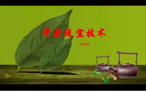 中医适宜技术