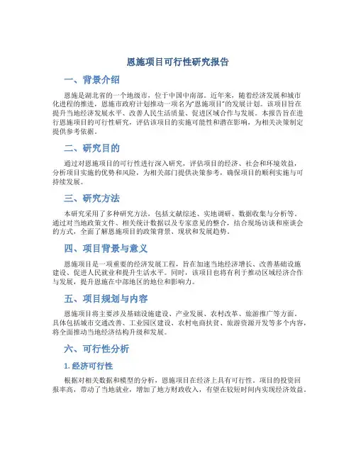 恩施项目可行性研究报告