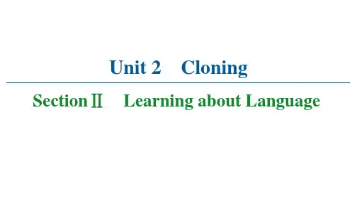人教版英语选修8课件：Unit2SectionⅡ LearningaboutLanguage
