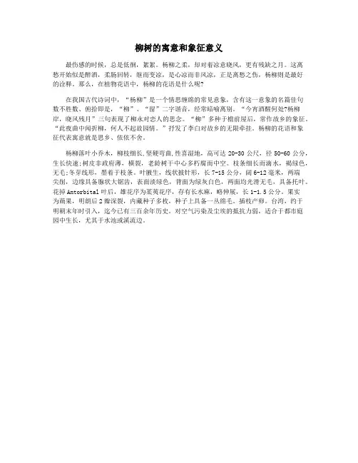 柳树的寓意和象征意义