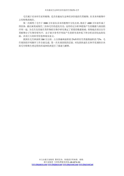 具有最高生态和经济价值的竹类植物-毛竹