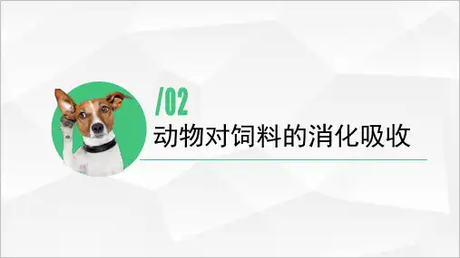 动物营养基础认知(动物营养与饲料课件)
