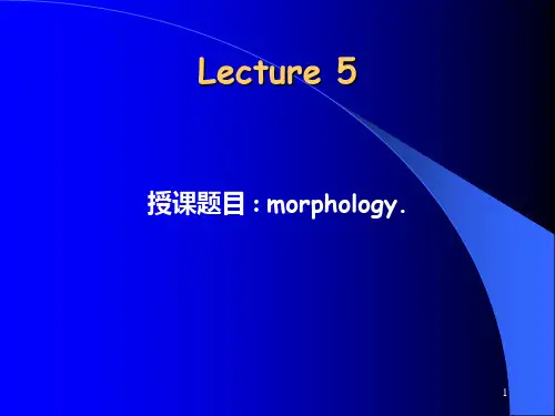 英语语言学之Morphology PPT课件