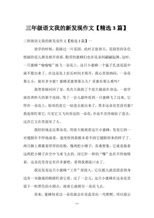 三年级语文我的新发现作文【3篇】