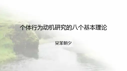 个体行为动机研究的八个基本理论