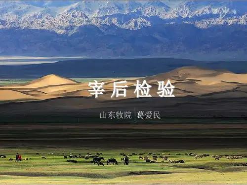 宰后检验