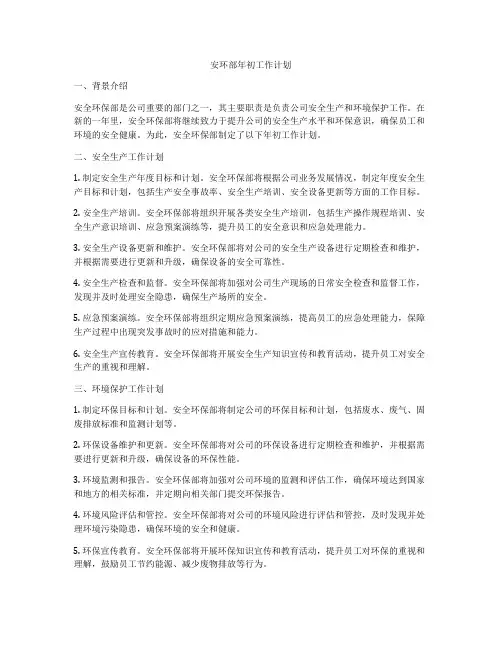 安环部年初工作计划