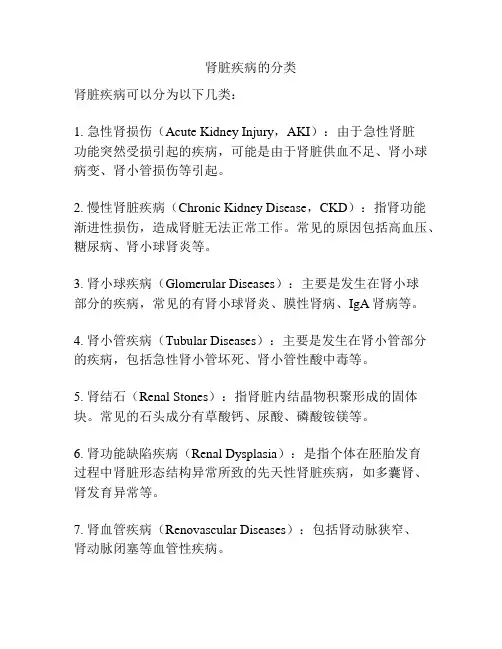 肾脏疾病的分类