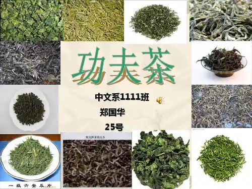 潮汕功夫茶的茶具介绍与使用方法PPT课件
