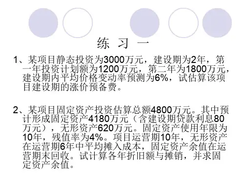 建设项目财务评价案例分析