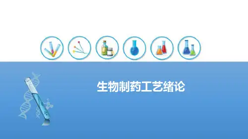 生物制药工艺导论—生物技术药物