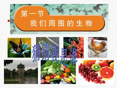 苏教版七上生物 1.1 我们周围的生物 课件