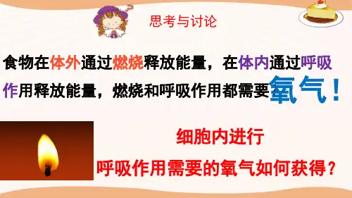 北师大版七年级下册10.2 人体细胞获得氧气的过程 课件 