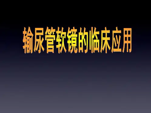 输尿管软镜在泌尿外科的应用课件