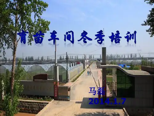 工厂化育苗