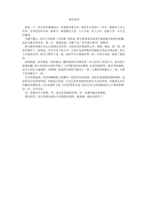 那年的雪