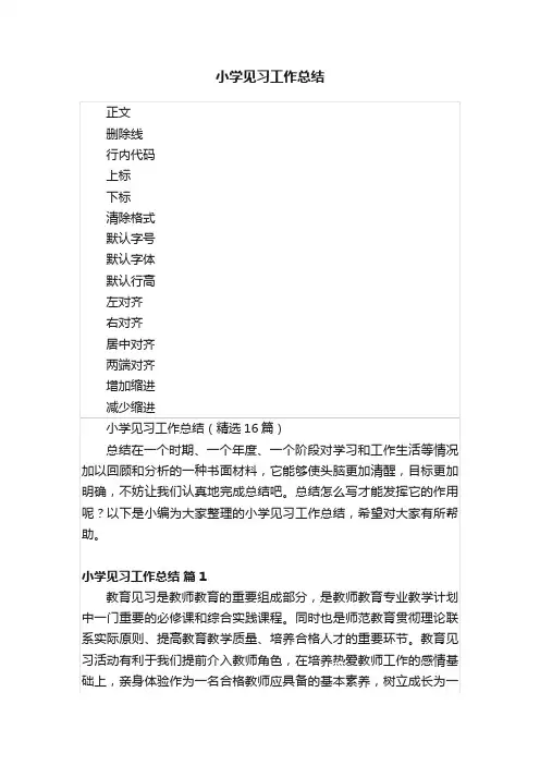 小学见习工作总结