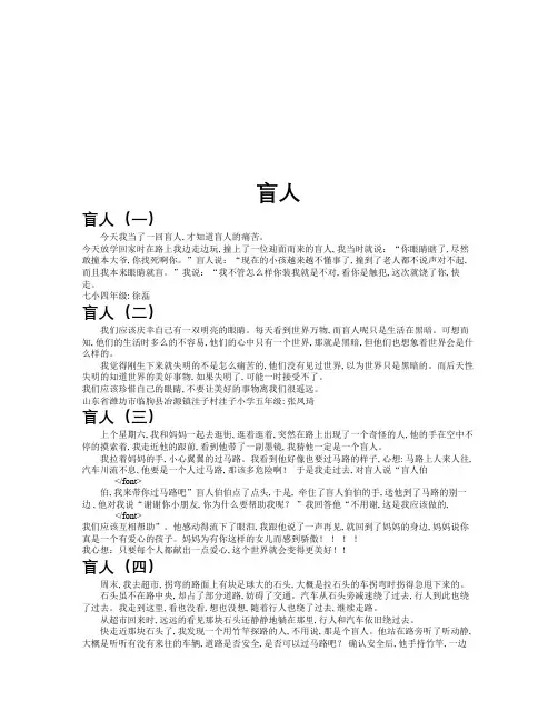 盲人作文共九篇