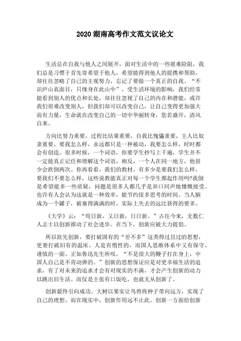 2020湖南高考作文范文议论文