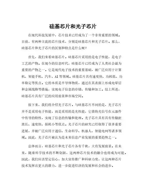 硅基芯片和光子芯片