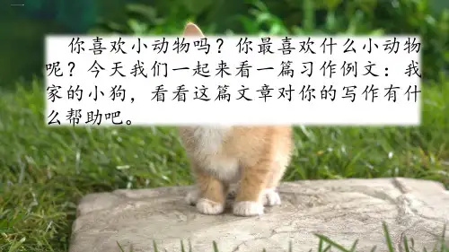 【新统编版】语文三年级上册《我家的小狗》PPT1