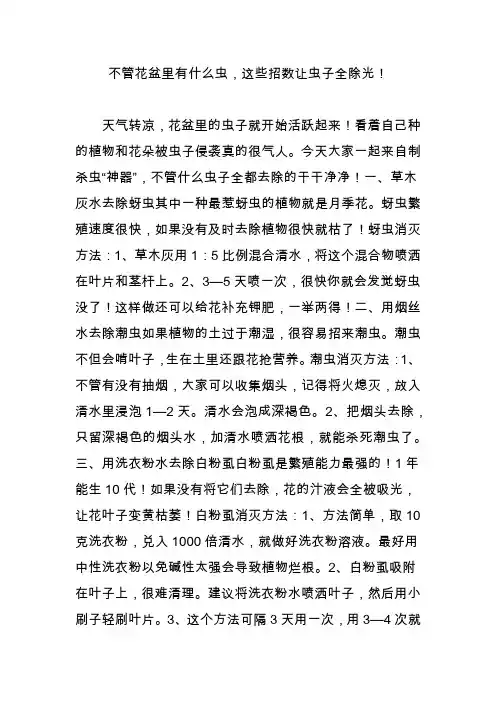 不管花盆里有什么虫,这些招数让虫子全除光!