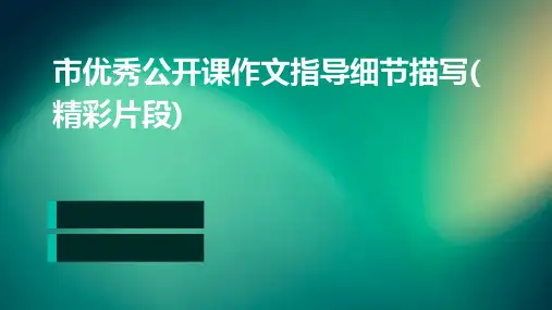 市优秀公开课作文指导细节描写(精彩片段)