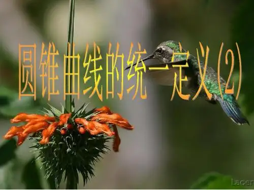 圆锥曲线的统一定义2
