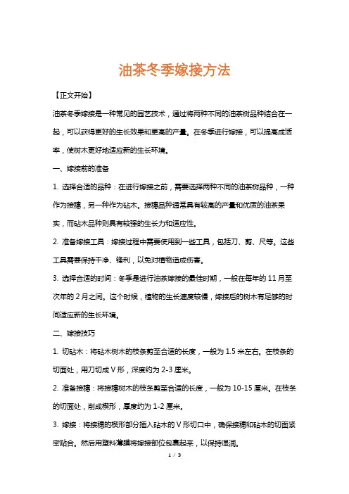 油茶冬季嫁接方法