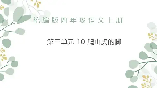 爬山虎的脚ppt课件