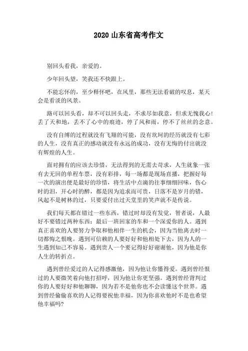 2020山东省高考作文