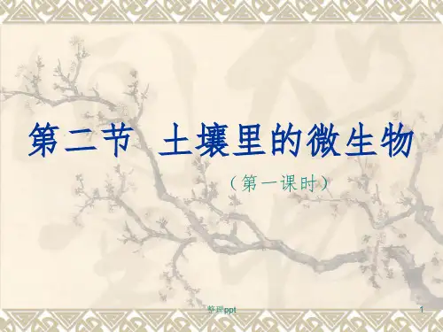 生物《土壤里的微生物》课件苏科版七年级下