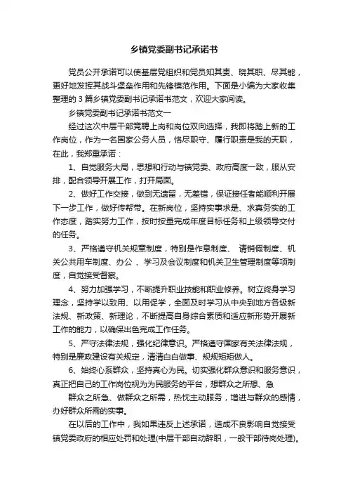 乡镇党委副书记承诺书