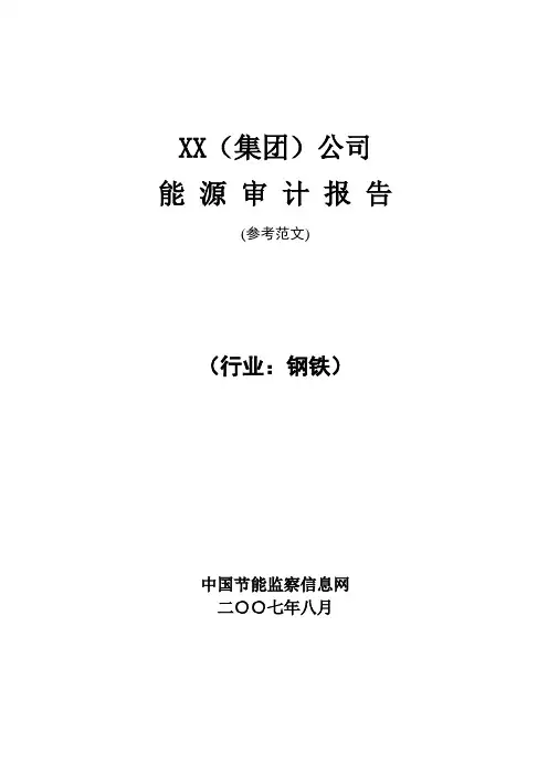 范文钢铁行业能源审计报告