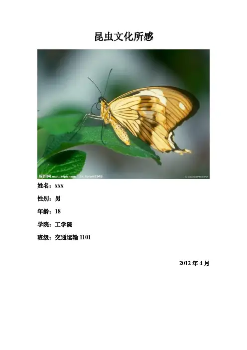 昆虫文化所感
