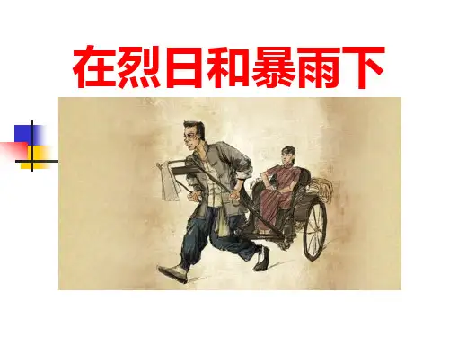 【小学课件】《在烈日和暴雨下》优质PPT课件