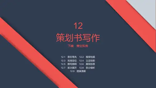 第12章 策划书写作 《策划原理与实务》PPT课件