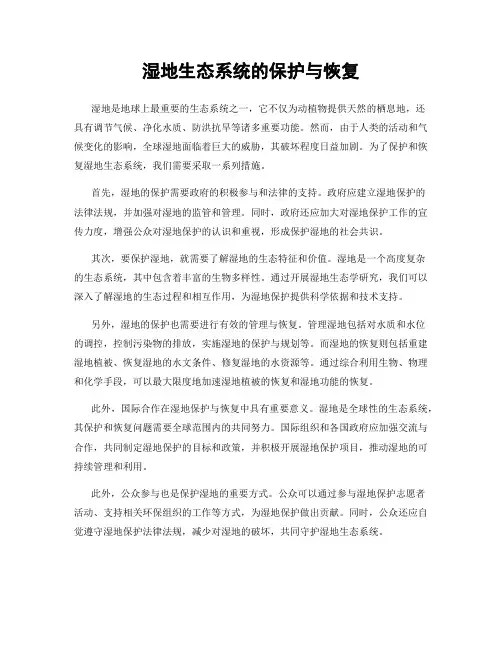 湿地生态系统的保护与恢复