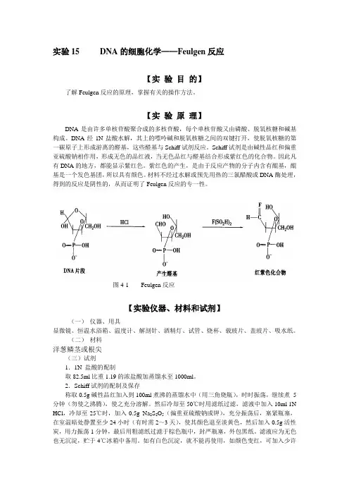 DNA的细胞化学Feulgen反应
