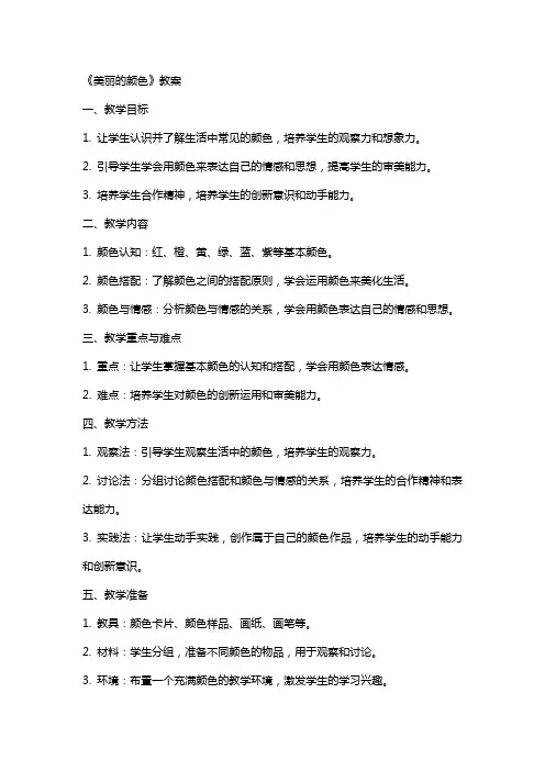《美丽的颜色》教案