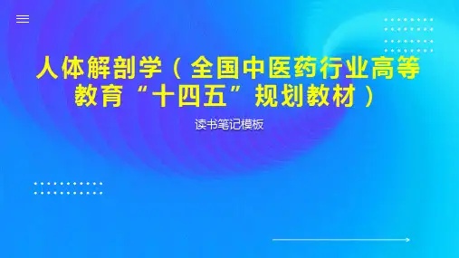 人体解剖学(全国中医药行业高等教育“十四五”规划教材)