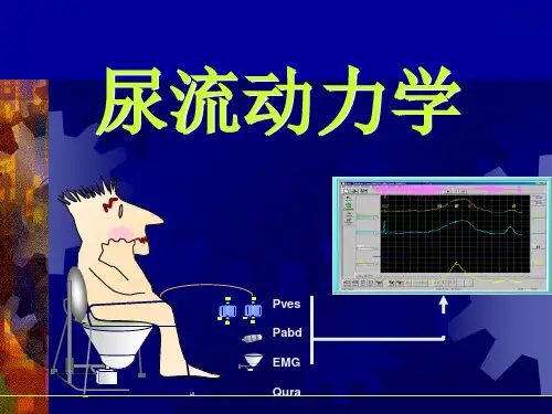 尿流动力学