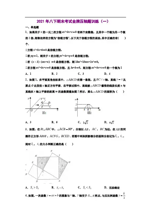 专题10 压轴题训练一-2020-2021学年八年级数学下学期期末考试压轴题专练(浙教版)(原卷版)