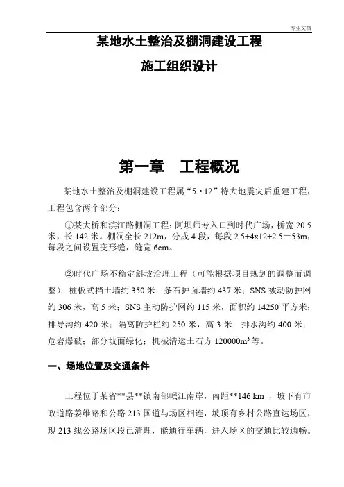 某地水土整治及棚洞建设工程施工组织设计